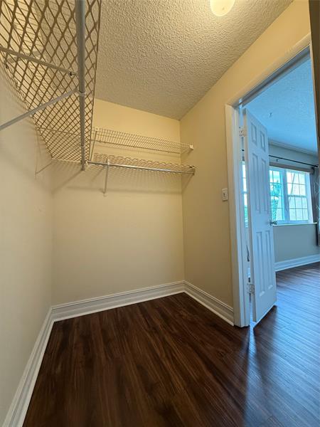 Image 30 of 40 For 3656 Citrus Trce  4