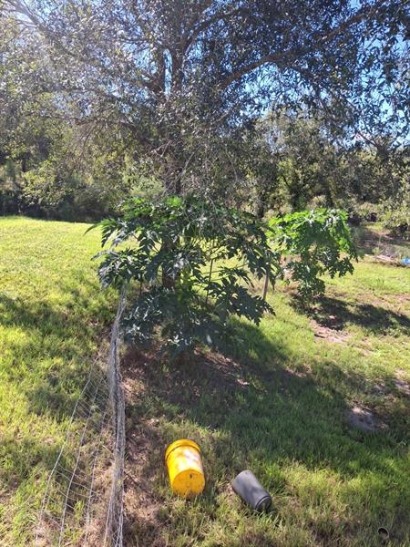 Image 24 of 24 For 17230 264th St.