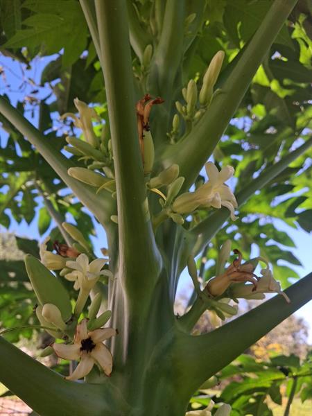 Image 4 of 24 For 17230 264th St.