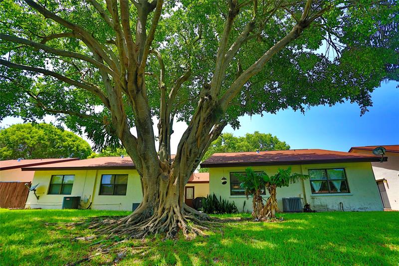 Image 26 of 37 For 6616 Parkway Dr  6616