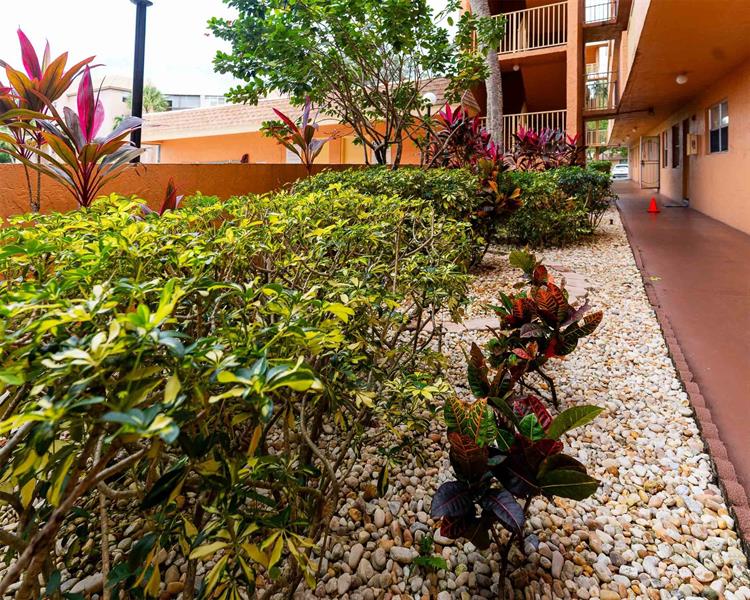 Image 6 of 25 For 3110 Pine Island Rd  304