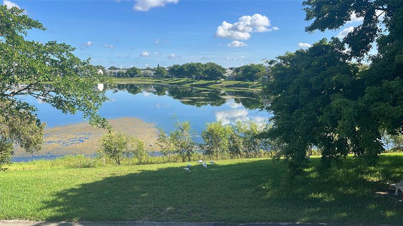 Image 6 of 47 For 3421 44th St  205