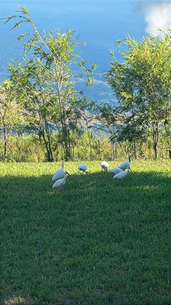 Image 8 of 47 For 3421 44th St  205