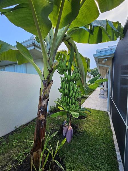 Image 23 of 24 For 1025 Bedford Ave