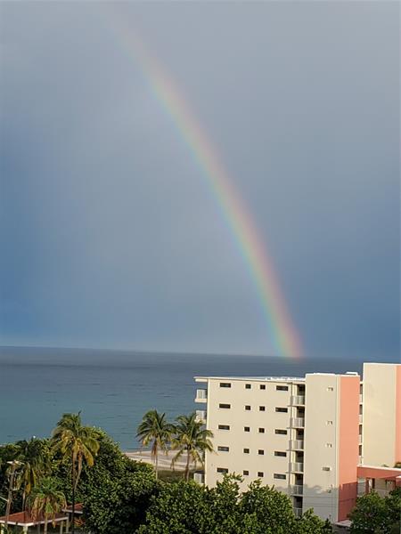 Image 5 of 39 For 1630 Ocean Blvd  814