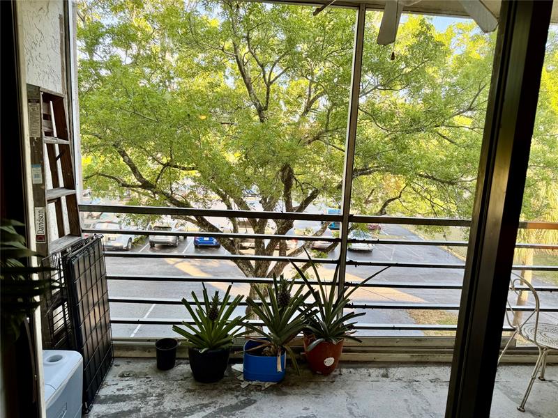 Image 12 of 28 For 1800 Lauderdale Ave  1307