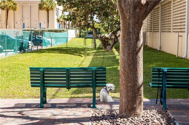 Image 41 of 59 For 4900 Ocean Blvd  802