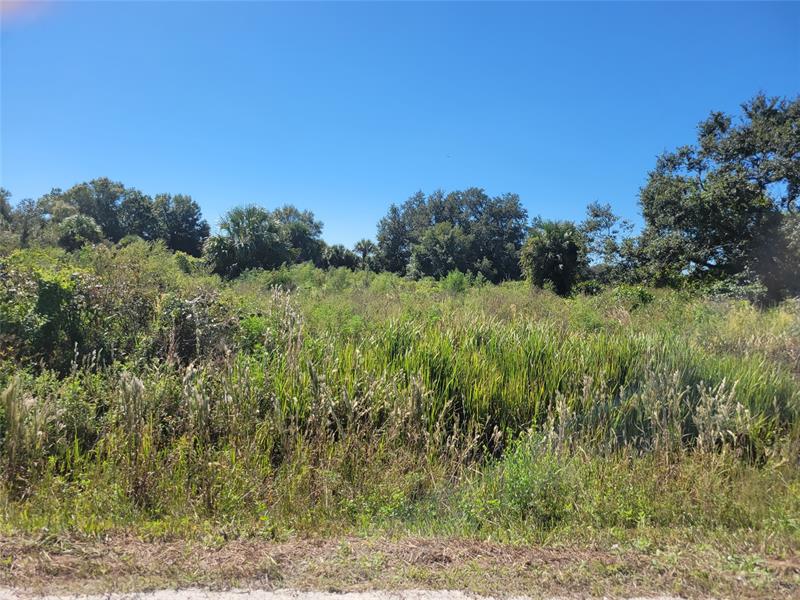 Listing Details for 20428 278th St, Okeechobee, FL 34972