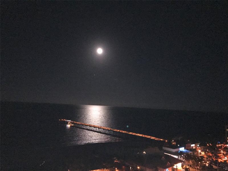 Image 30 of 43 For 333 21st Ave  1522