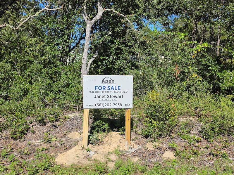 Listing Details for Lot 10 Malauka Cir, Ocklawaha, FL 32179