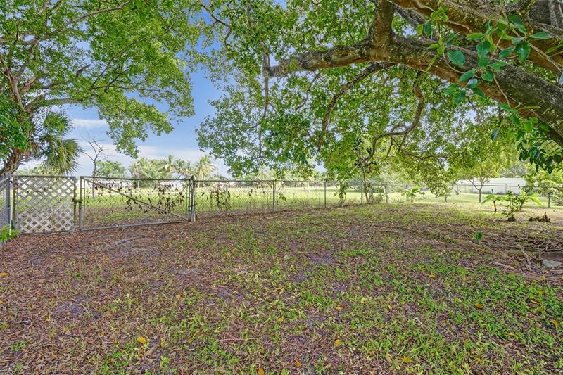 Image 34 of 49 For 7741 1st St  