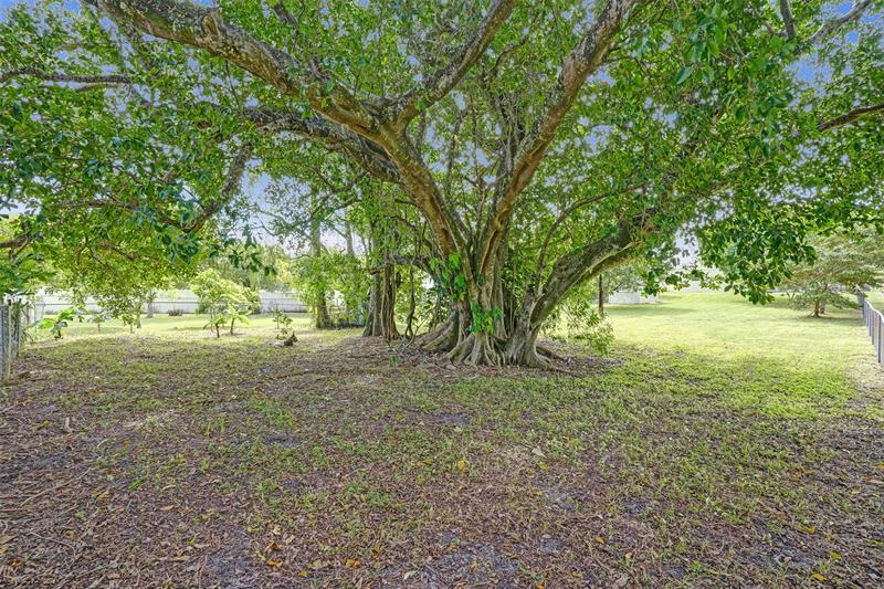 Image 36 of 49 For 7741 1st St  