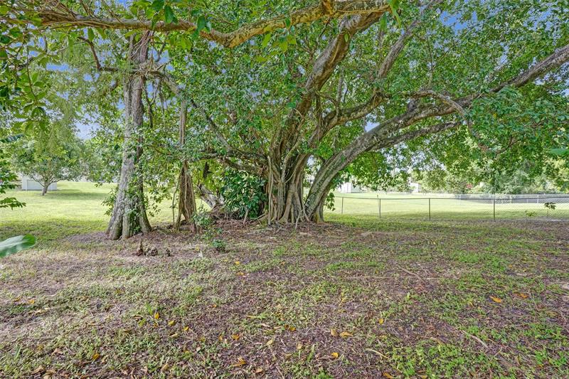 Image 37 of 49 For 7741 1st St  