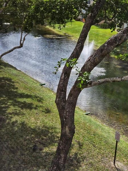 Image 17 of 29 For 9580 Weldon Cir  K307
