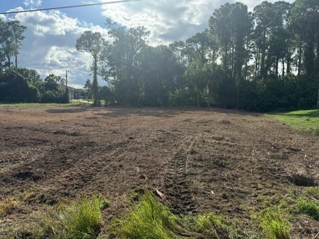 Details for 875 Haskell St, Lehigh Acres, FL 33974