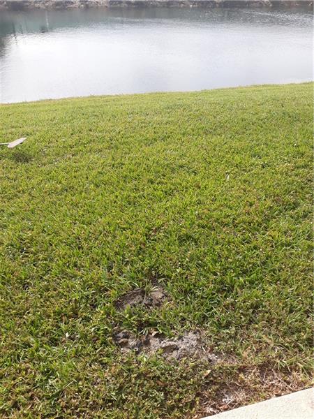 Image 34 of 47 For 9082 Plymouth Pl  9082