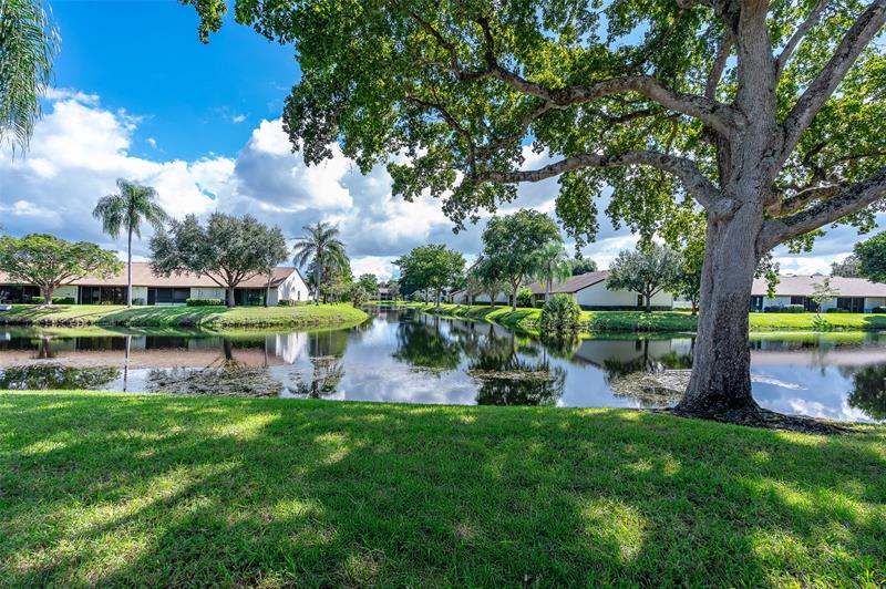 Image 7 of 37 For 3272 Carambola Cir  3272