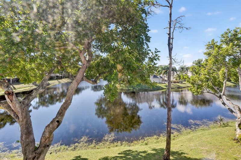 Image 33 of 42 For 2024 Discovery Cir  2024