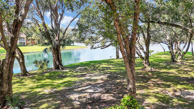 Image 66 of 66 For 2465 33  1509