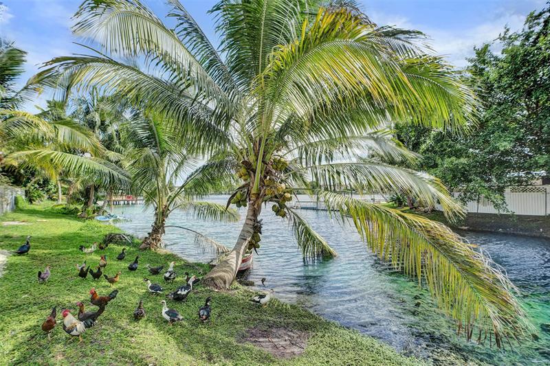 Image 48 of 58 For 1732 72nd St  1732