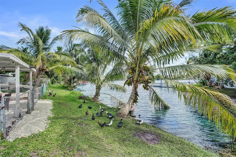 Image 51 of 58 For 1732 72nd St  1732