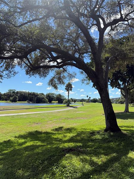 Image 39 of 39 For 802 Cypress Blvd 101