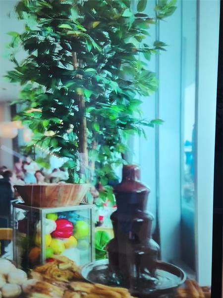 Image 17 of 51 For 4111 Ocean Dr  2107