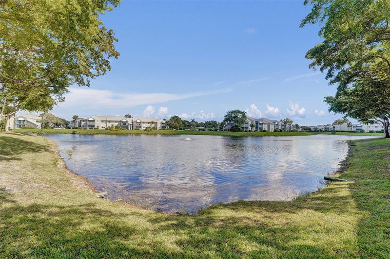 Image 54 of 69 For 9563 Weldon Cir  D212