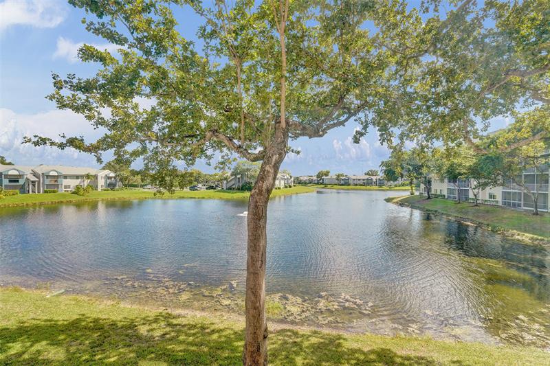 Image 57 of 69 For 9563 Weldon Cir  D212