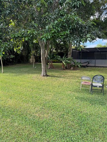 Image 36 of 40 For 936 Tropical