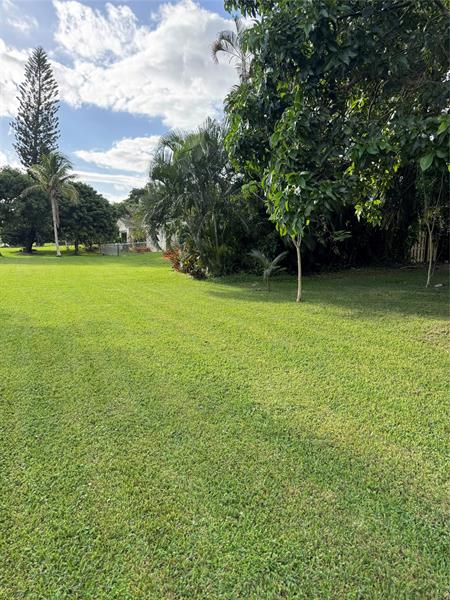 Image 37 of 40 For 936 Tropical