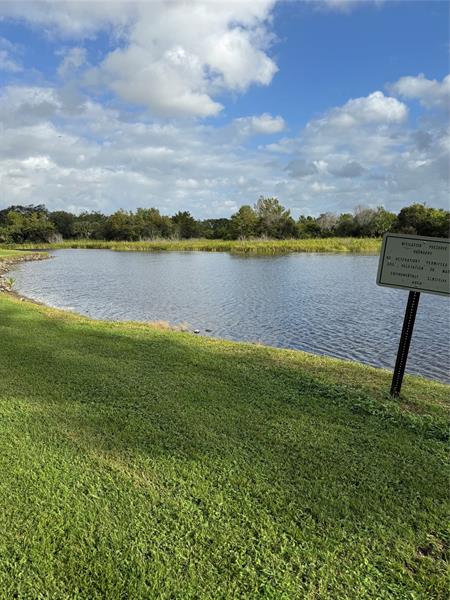 Image 40 of 40 For 936 Tropical