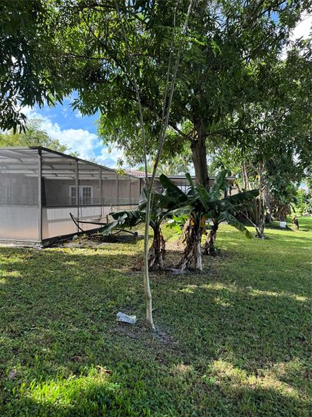 Image 5 of 40 For 936 Tropical