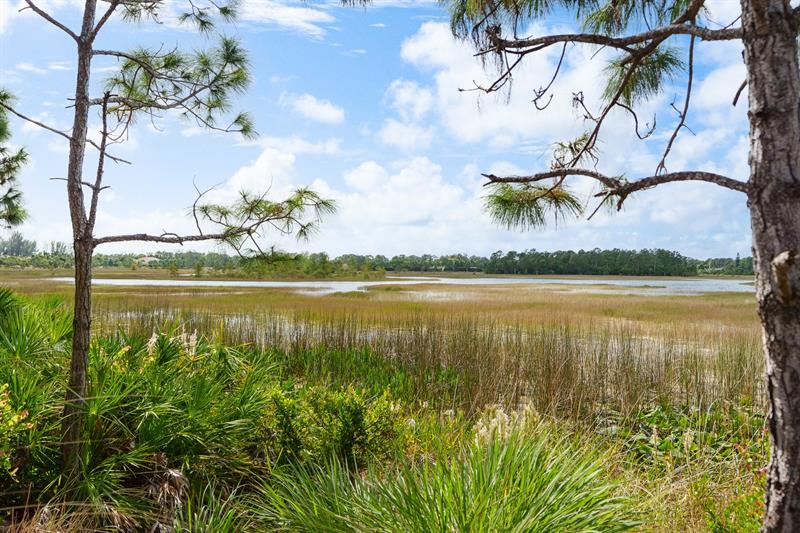 Image 51 of 68 For 7797 Maywood Crest Drive