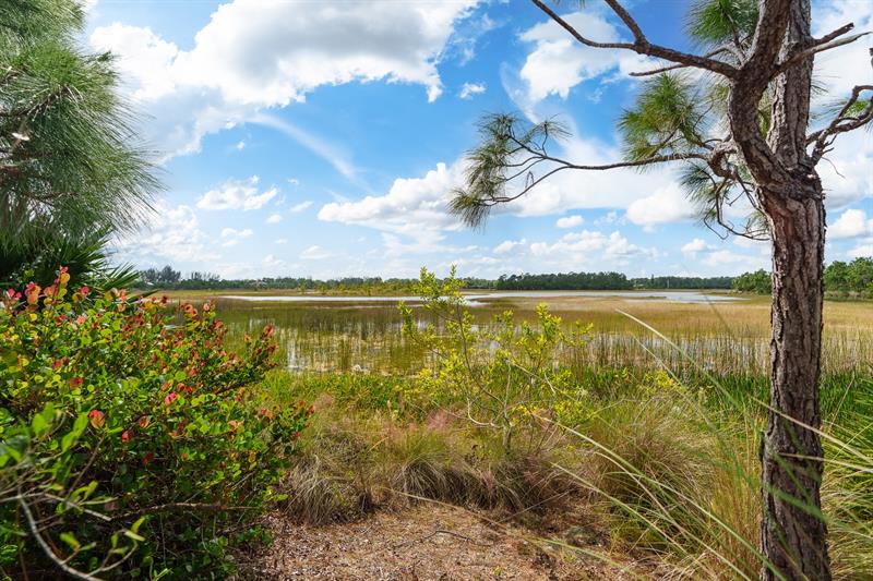 Image 56 of 68 For 7797 Maywood Crest Drive