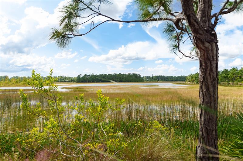 Image 57 of 68 For 7797 Maywood Crest Drive