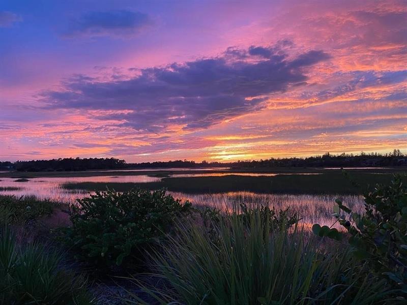 Image 66 of 68 For 7797 Maywood Crest Drive