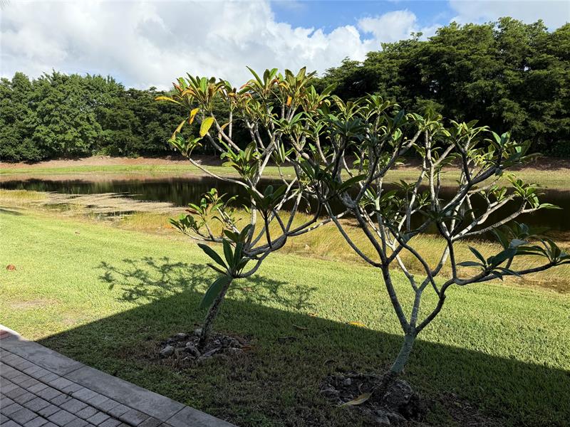 Image 31 of 42 For 1954 Andromeda Ln