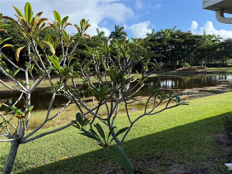 Image 33 of 42 For 1954 Andromeda Ln