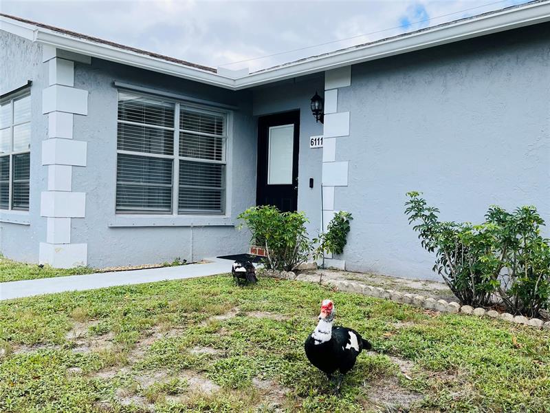 Image 2 of 20 For 6111 Rainbow Circle