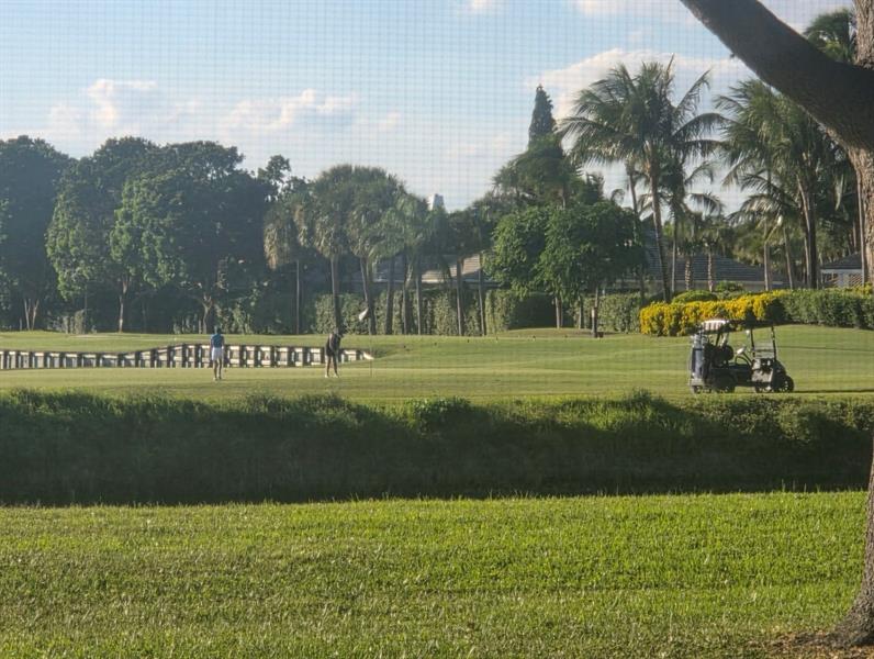 Image 40 of 46 For 2900 22nd Cir 221e