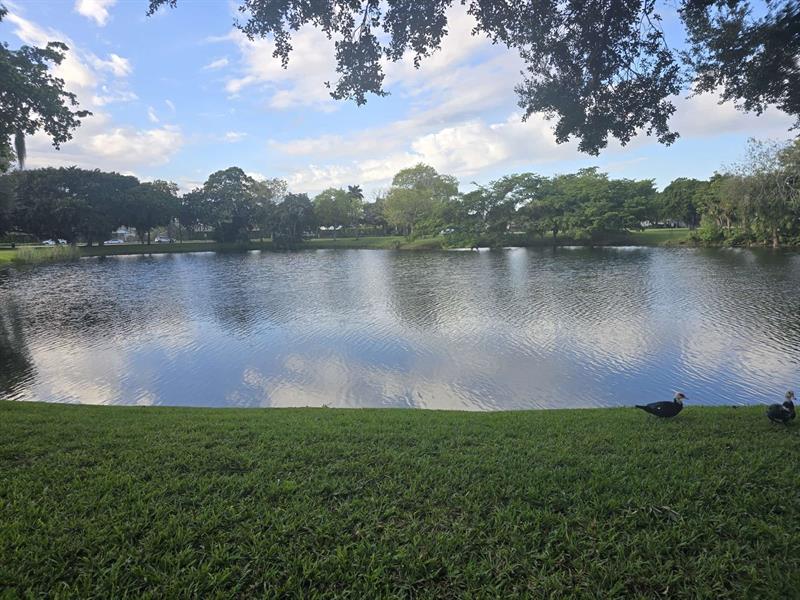 Details for 3567 94th Ave  4d, Sunrise, FL 33351