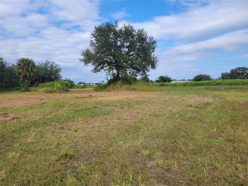 Details for 15215 Nw252nd St, Okeechobee, FL 34972