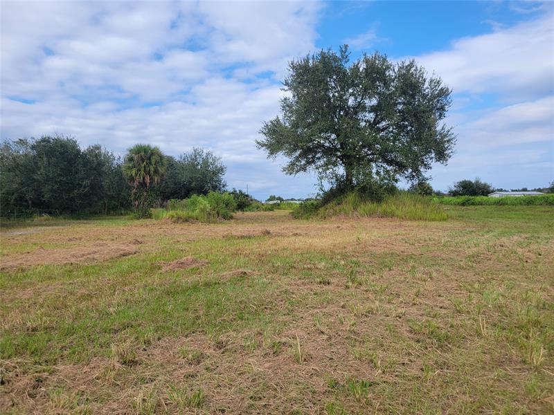 Image 3 of 4 For 15215 Nw252nd St