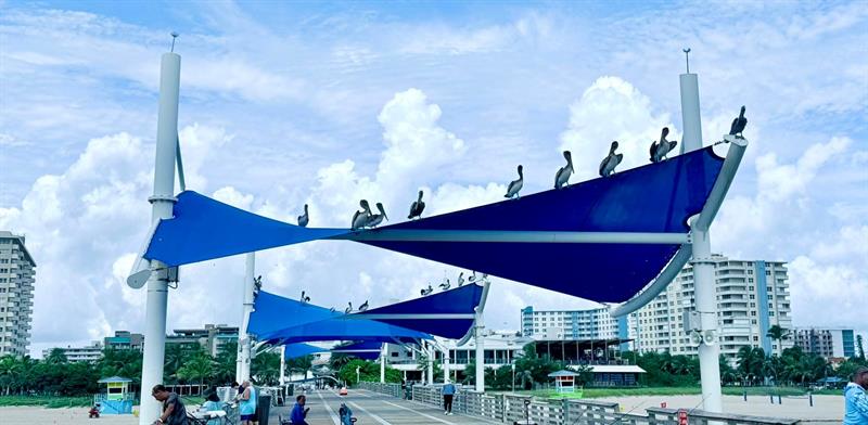 Image 20 of 35 For 133 Pompano Beach Blvd  Ph 7