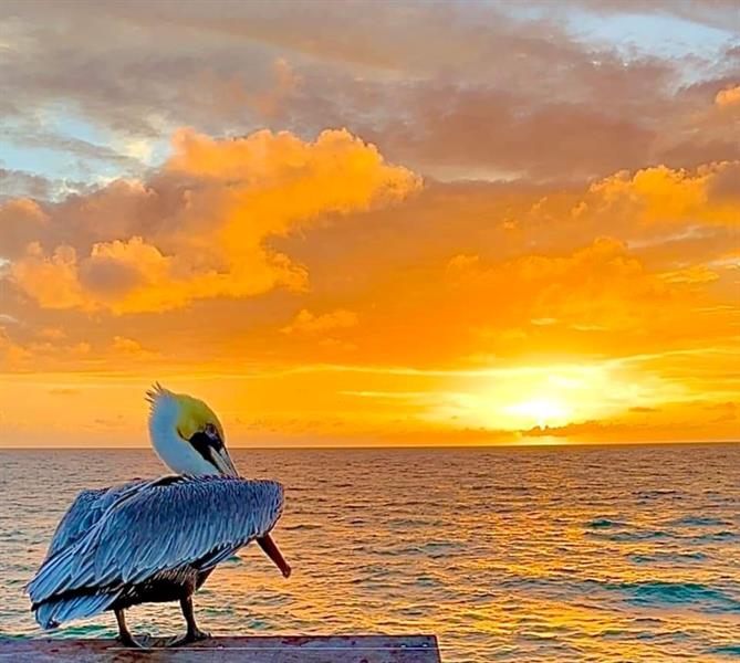 Image 31 of 35 For 133 Pompano Beach Blvd  Ph 7