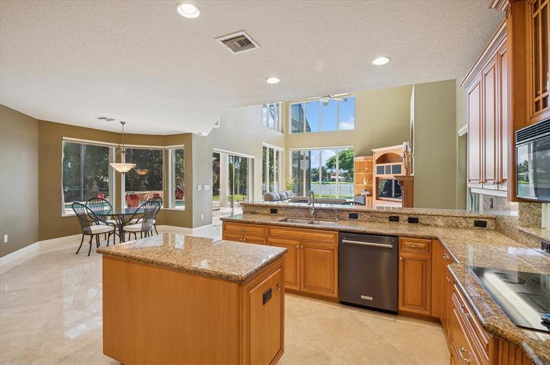 Image 7 of 43 For 10372 Lake Vista Cir