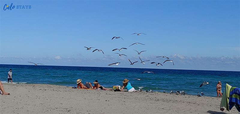 Image 32 of 41 For 777 Ocean Dr  N522