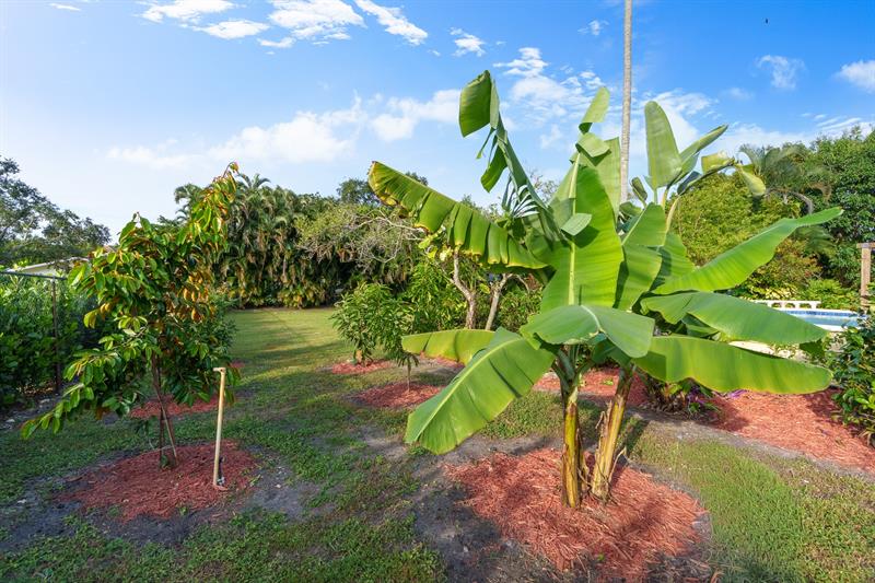 Image 34 of 51 For 5973 54th Ct