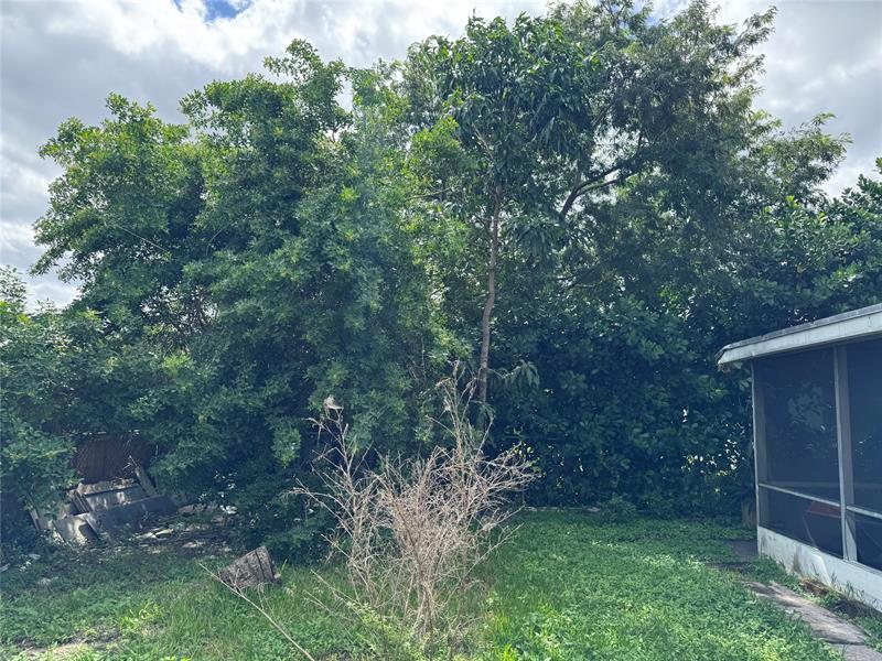 Image 24 of 32 For 8212 74th Ter